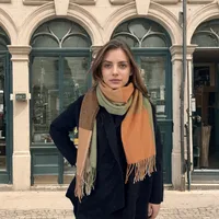 Women's Casual Simple Style Color Block Imitation Cashmere Tassel Scarf sku image 6