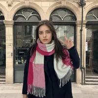 Women's Casual Simple Style Color Block Imitation Cashmere Tassel Scarf sku image 25