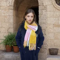 Women's Casual Simple Style Color Block Imitation Cashmere Tassel Scarf sku image 3