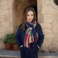 Women's Casual Simple Style Color Block Imitation Cashmere Tassel Scarf sku image 2