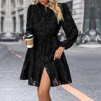 Spring Autumn New European American Long Sleeve See Through Embroidered Dress Elegant Style Polyester Fabric A-Line Skirt main image 3
