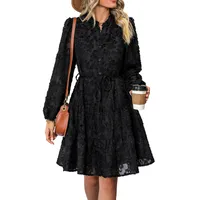 Spring Autumn New European American Long Sleeve See Through Embroidered Dress Elegant Style Polyester Fabric A-Line Skirt main image 5