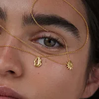 Vintage Style Classic Style Animal Constellation Lion 304 Stainless Steel Asymmetrical Polishing Plating 18K Gold Plated Unisex Pendant Necklace main image 3