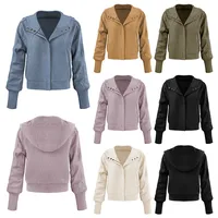 Explosions Sweater Zipper Button Long Sleeve Loose Casual Top Autumn And Winter Fashion Brand All-match Hoodie main image 2