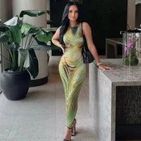 Women's Sheath Dress Vintage Style Round Neck Sleeveless Color Block Maxi Long Dress Holiday main image 1