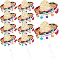 Casual Straw Colorful Pet Hat main image 1