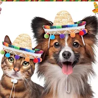 Casual Straw Colorful Pet Hat main image 2