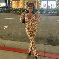 Holiday Selfie Women's Casual Elegant Streetwear Leopard Spandex Polyester Pants Sets Shorts Sets main image 4