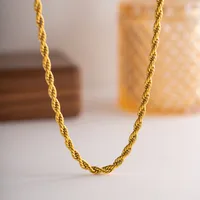 Wholesale Jewelry Simple Style Twist Stainless Steel Titanium Steel Plating Necklace main image 5