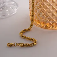 Wholesale Jewelry Simple Style Twist Stainless Steel Titanium Steel Plating Necklace main image 3