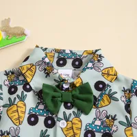 Easter Cute Car Radish Printing Cotton Blend Boys Clothing Sets main image 5