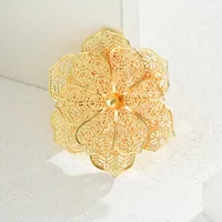 Elegant Flower Alloy Women's Brooches 1 Piece main image 2