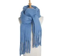 Women's Simple Style Solid Color Polyester Scarf sku image 7