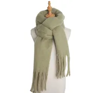 Women's Simple Style Solid Color Polyester Scarf sku image 13