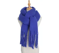 Women's Simple Style Solid Color Polyester Scarf sku image 11