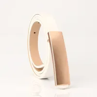 Casual Solid Color Pu Leather Alloy Plating Women's Leather Belts 1 Piece sku image 2