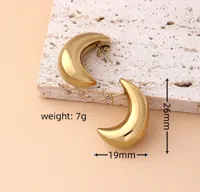 1 Pair Basic Modern Style Classic Style Moon Plating 304 Stainless Steel Drop Earrings main image 6