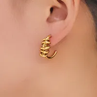 1 Pair Simple Style Classic Style Irregular Spiral Plating 304 Stainless Steel 18K Gold Plated Ear Studs main image 4