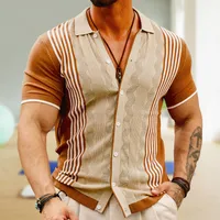 Men's Color Block Simple Style Turndown Short Sleeve Regular Fit Men's T-shirt main image 2