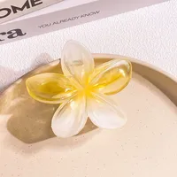 Women's Simple Style Flower Plastic Hair Claws sku image 7