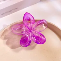 Women's Simple Style Flower Plastic Hair Claws sku image 4