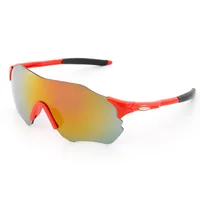 Modern Style Simple Style Classic Style Geometric Pc Goggles Full Frame Men's Sunglasses sku image 2
