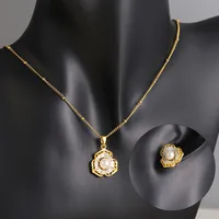 304 Stainless Steel Copper 18K Gold Plated Casual Elegant Shiny Plating Inlay Flower Artificial Pearls Zircon Earrings Necklace Jewelry Set main image 4