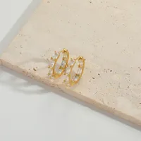 1 Pair Vintage Style Simple Style Commute Round Inlay Copper Zircon 14K Gold Plated Hoop Earrings main image 2