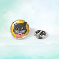 Cute Simple Style Cat 304 Stainless Steel Glass Plating Unisex Collar Pin sku image 4