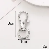 Zinc Alloy Lobster Clasp Keychain Jewelry DIY Handcrafted Accessories sku image 3