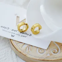 1 Pair Simple Style Classic Style Solid Color Titanium Steel Earrings main image 5
