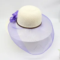 Women's Vacation Simple Style Solid Color Big Eaves Straw Hat sku image 1
