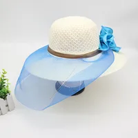 Women's Vacation Simple Style Solid Color Big Eaves Straw Hat sku image 29