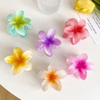 Women's Simple Style Flower Plastic Resin Hair Claws main image 1