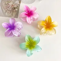 Women's Simple Style Flower Plastic Resin Hair Claws main image 2