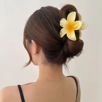 Women's Simple Style Flower Plastic Resin Hair Claws main image 3