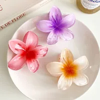 Women's Simple Style Flower Plastic Resin Hair Claws main image 4