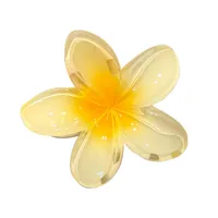 Women's Simple Style Flower Plastic Resin Hair Claws main image 5