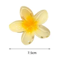 Women's Simple Style Flower Plastic Resin Hair Claws main image 6