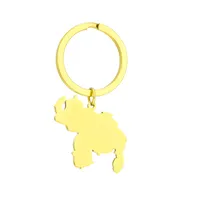 Simple Style Map Titanium Steel Unisex Keychain main image 2