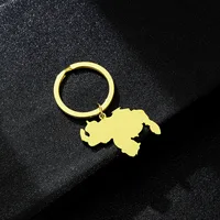 Simple Style Map Titanium Steel Unisex Keychain main image 3