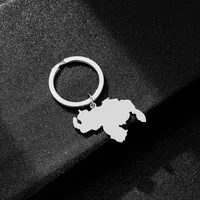 Simple Style Map Titanium Steel Unisex Keychain main image 4