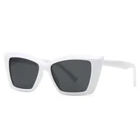 Modern Style Solid Color Pc Cat Eye Full Frame Men's Sunglasses main image 3