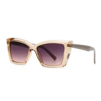 Modern Style Solid Color Pc Cat Eye Full Frame Men's Sunglasses sku image 5