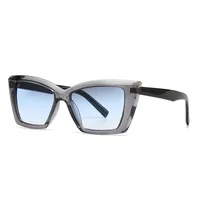 Modern Style Solid Color Pc Cat Eye Full Frame Men's Sunglasses sku image 3