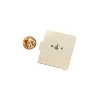 Cartoon Style Cute Cowboy Style Book Letter Alloy Stamping Stoving Varnish Plating Women's Brooches main image 3