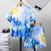 Casual Tie Dye Polyester Boys Clothing Sets sku image 6