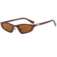 Casual Basic Simple Style Geometric Ac Special-Shaped Mirror Full Frame Women's Sunglasses sku image 4