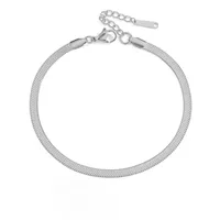 Wholesale Jewelry Simple Snake Bone Chain Stainless Steel Anklet Nihaowholesale sku image 1