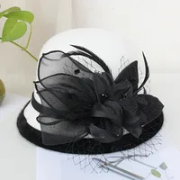 Woolen Hat Women's Autumn And Winter British Socialite Feather Mesh Bowler Hat Korean Casual  Fisherman Hat Basin Hat Trendy main image 3